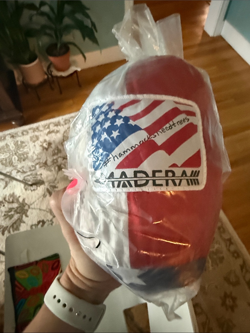 Madera Patriotic hammock